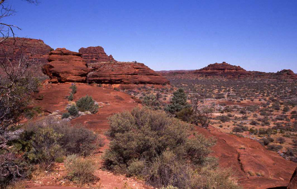 Desert and Rocks