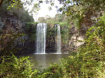 Dangar Falls