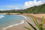 Diggers Beach1