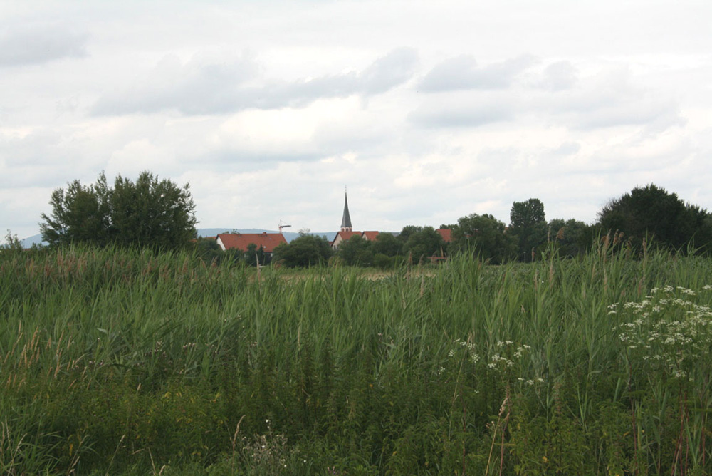 Rot verstect
