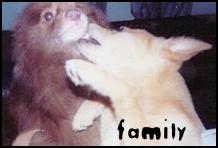 sibling rivalry