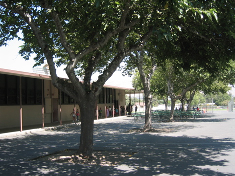 quadarea