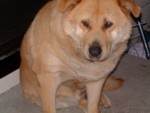 Awwwwww. its michaels DOG, His name is Ralph!!!!!! 
