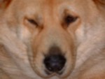 Look at me Im squishy and cute!!!!!