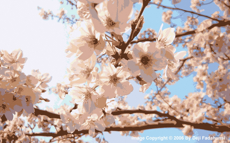 Spring
