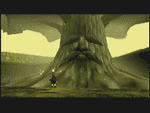 The Great Deku Tree
