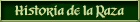 Historia Setter Irlandes