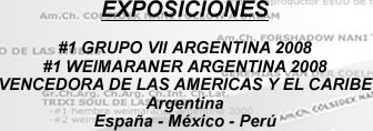 LO ULTIMO