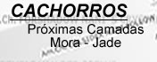 CACHORROS