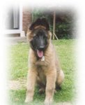 Winner Takes All "Max" 12 weeks