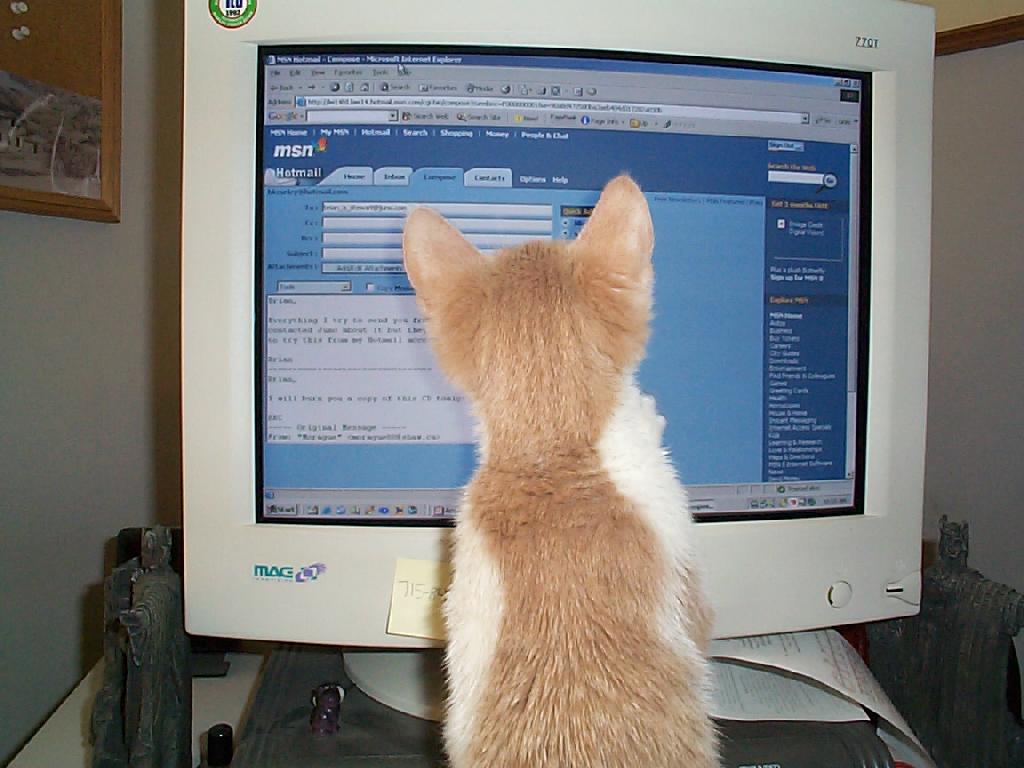 Harry sends an e-mail