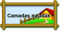 Camadas nacidas