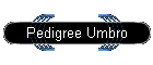 Pedigree Umbro