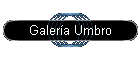 Galer�a Umbro