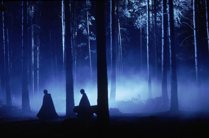 in the forest with Harry