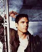 Nick fence