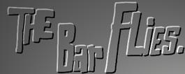 The Bar Flies
