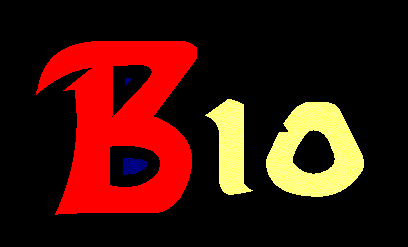 A Biography of the Band