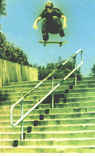 Andrew Reynolds