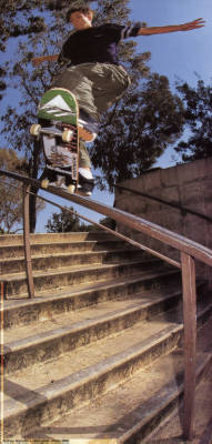 Andrew Reynolds