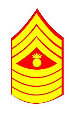 e-9-1-M-Gy-Sgt.gif