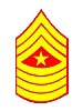 e-9-2-Sgt-Maj.gif