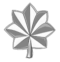 05-Lt-Col.gif