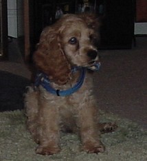 hey cutie&nbsp; pie ... when you comin to visit angie?!
