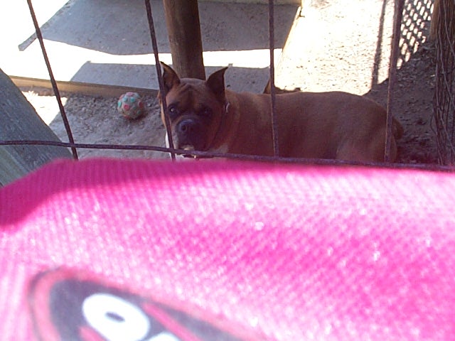 Hey sweet baby!