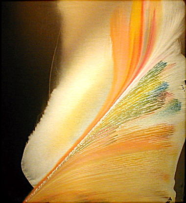 image30