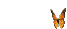 Mariposa