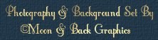 Logo Moon and Back