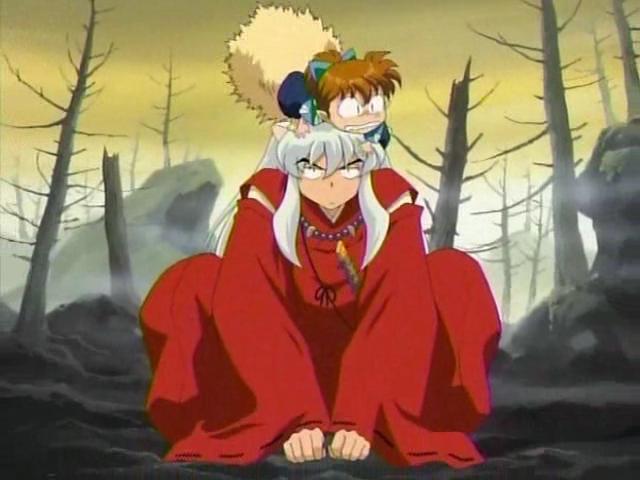 "Will you please get off my head? Damn Kitsune-cub..."