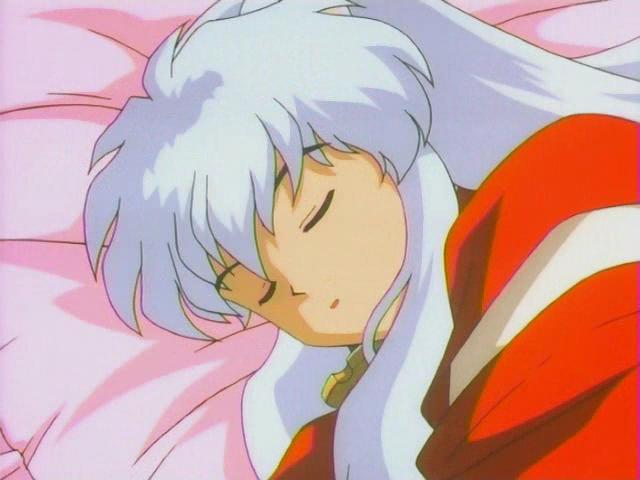 Kagome: *sweetly* "Aww...maybe we shouldn't wake-no shippo!" Shippo: *screams* "INUYASHA!" *Giant TUG to ears* Inuyasha: "ACK!!! DAMN KITSUNE!" Kagome: *Sighs* "Too late now.."