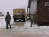 snowball1.jpg (53476 bytes)
