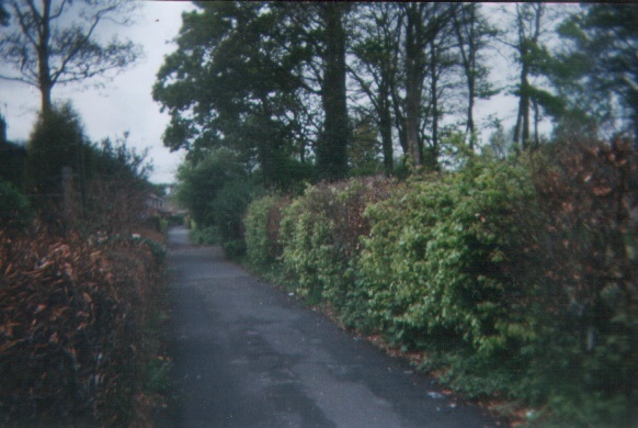 back road