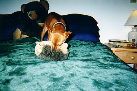 buddy GETS howie!! RAR!