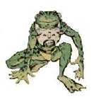 Amphibious
