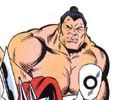 Sumo
