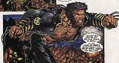 Wolverine