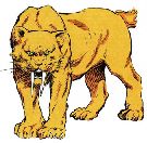 Zabu