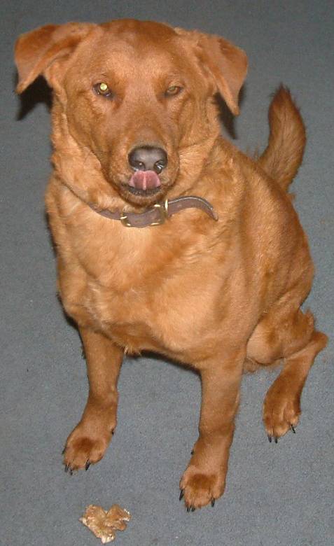 I guess he didn't expect to have his photo taken!