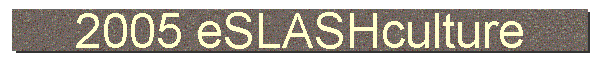 2005 eSLASHculture