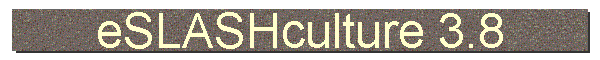 eSLASHculture 3.8