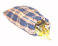 MUSAC.jpg (8042 octets)