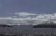 Altocumulus cumulogenitus