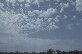 Altocumulus castellanus