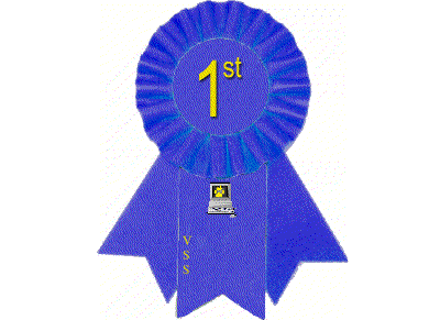 First Place-Virtual Sheltie Show Winter 2006