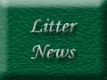 Denian's Litter News