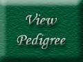 View Diva's Pedigree
